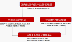 中国企业信息化管理中心正式成立