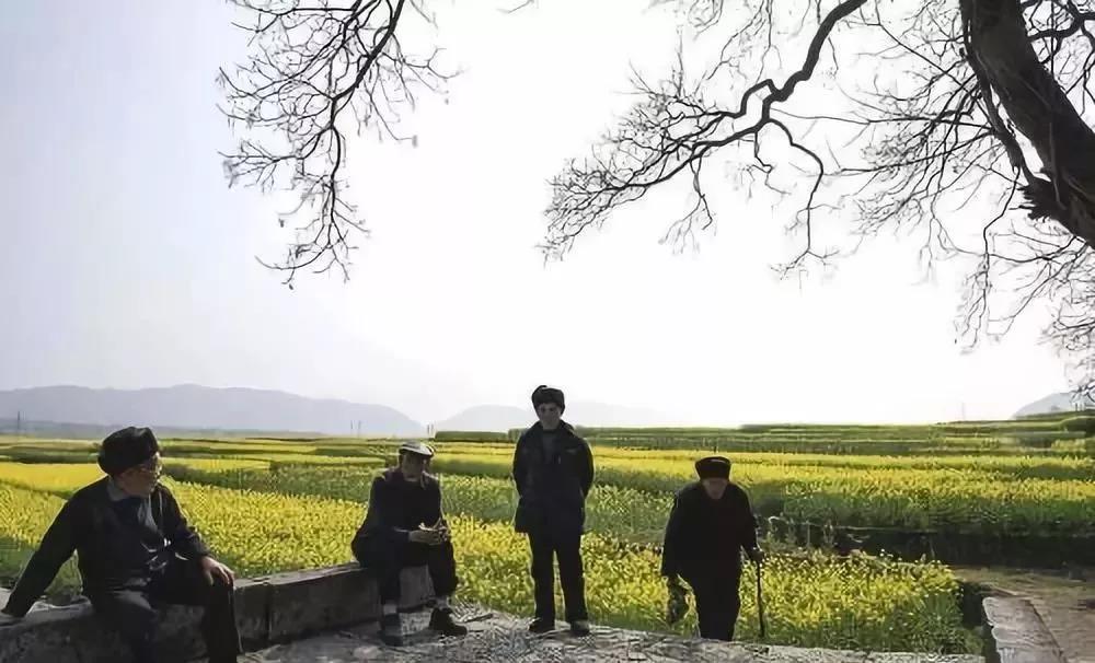 【政策】中共中央：集体建设用地优先用于发展养老、康养服务