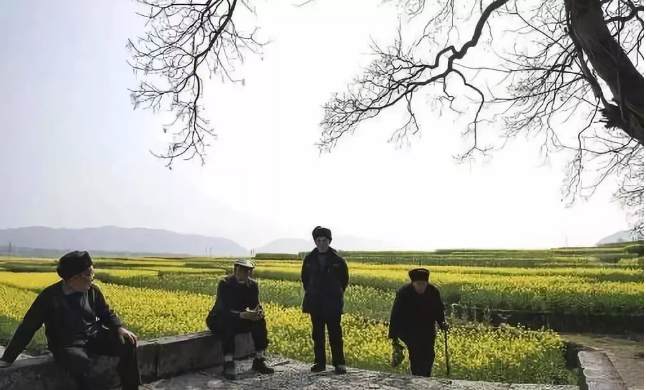 【政策】中共中央：集体建设用地优先用于发展养老、康养服务