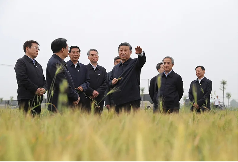 习近平主持召开推进南水北调后续工程高质量发展座谈会并发表重要讲话