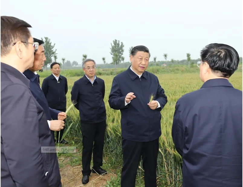 习近平主持召开推进南水北调后续工程高质量发展座谈会并发表重要讲话