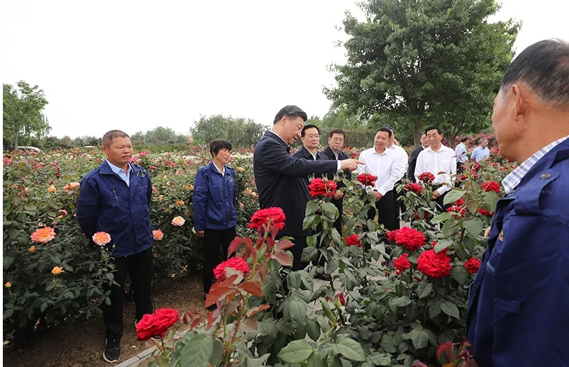 习近平主持召开推进南水北调后续工程高质量发展座谈会并发表重要讲话