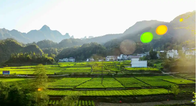 乡村振兴提速，土地整治该怎么干？