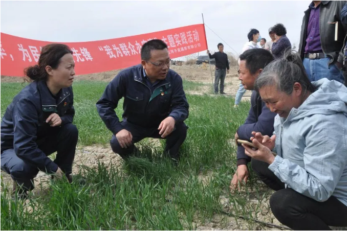 党史学习教育进基层，国资央企的鲜活实践在这里！