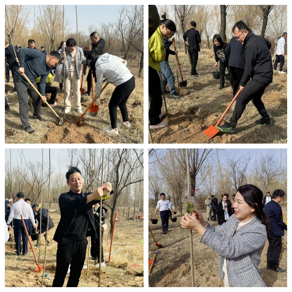 天河控股联合中交城投郑州公司、中交二航局古荥城市更新（一期）项目部开展联建共建植树活动